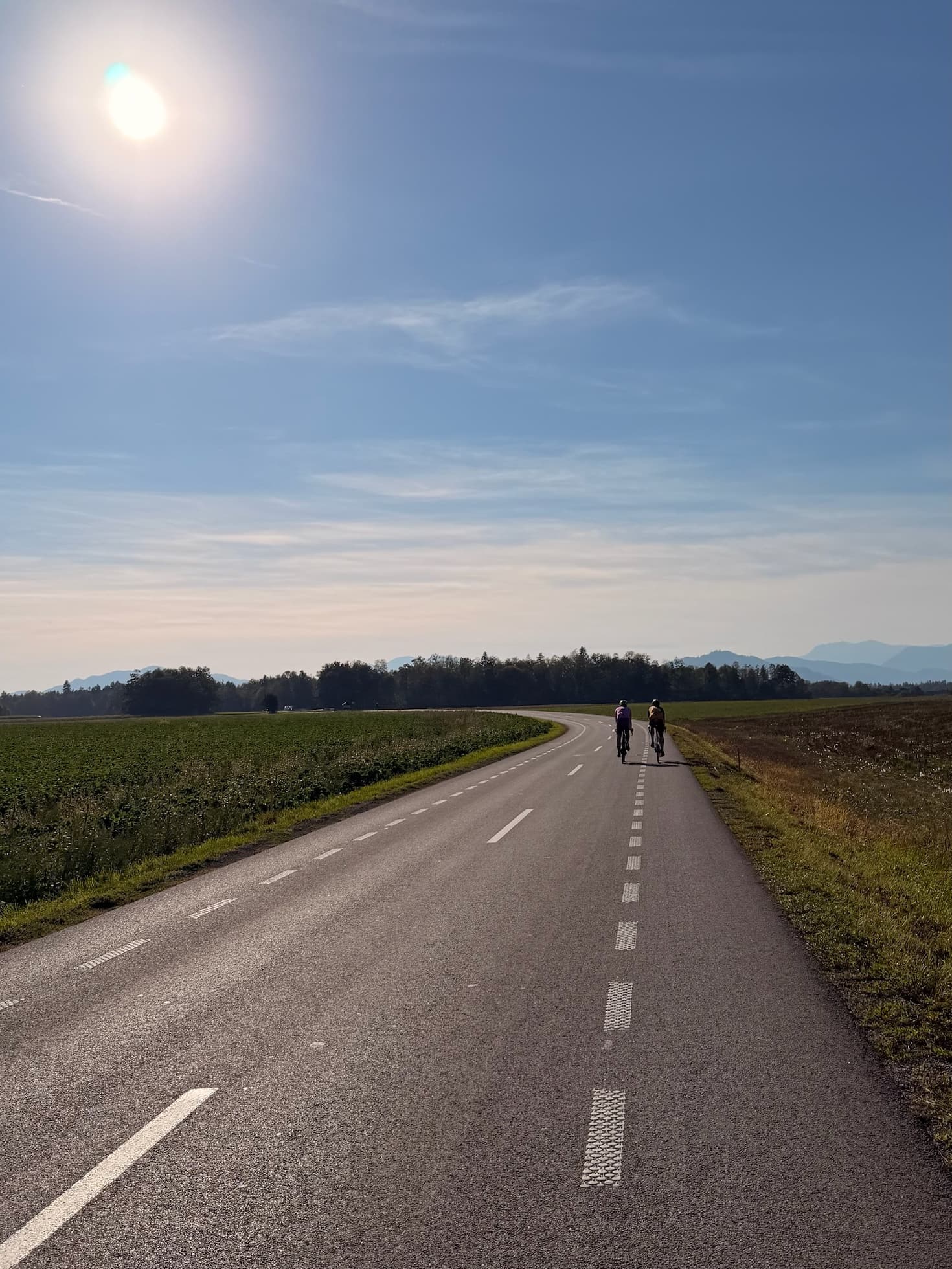 Scenic, freshly paved road curving through fields toward a forest, sun shining.